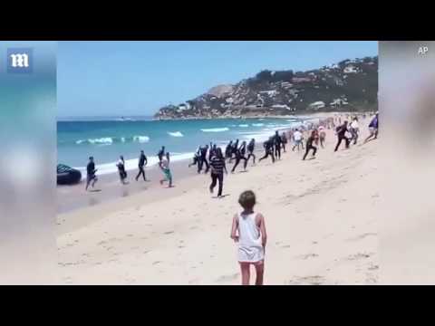 Незабываемый отдых в Испании (и негры)