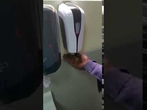 Оголтелый расизм в туалете!