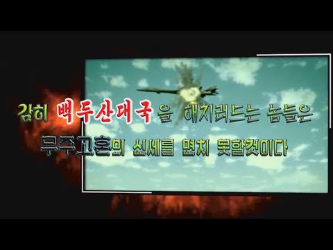 КНДР развязал войну и громит США!