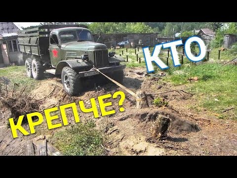  Пеньки против автомобилей