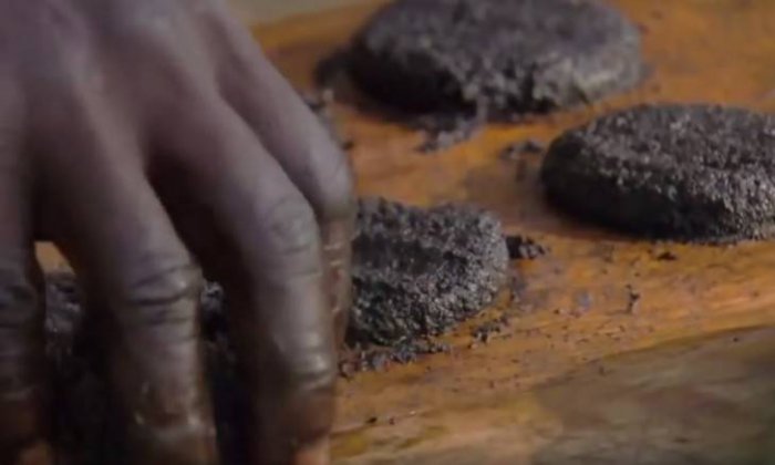 Африканский деликатес – котлеты из комаров.