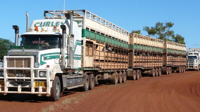 Австралийские дальнобойщики, трудовые будни