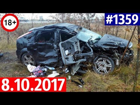 Дорожные войны №1359