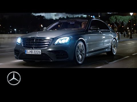 Король Городских Джунглей