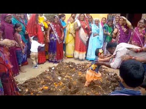 Навоз – на счастье!