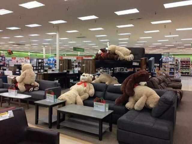 Забавные картинки