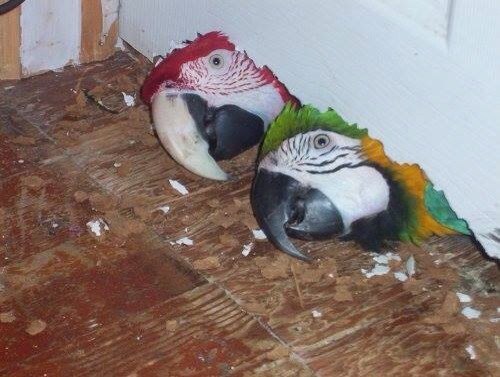 Забавные картинки