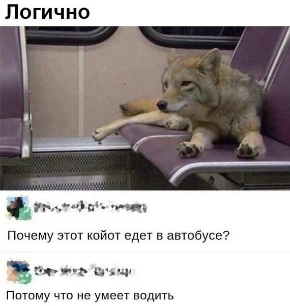 Забавные картинки