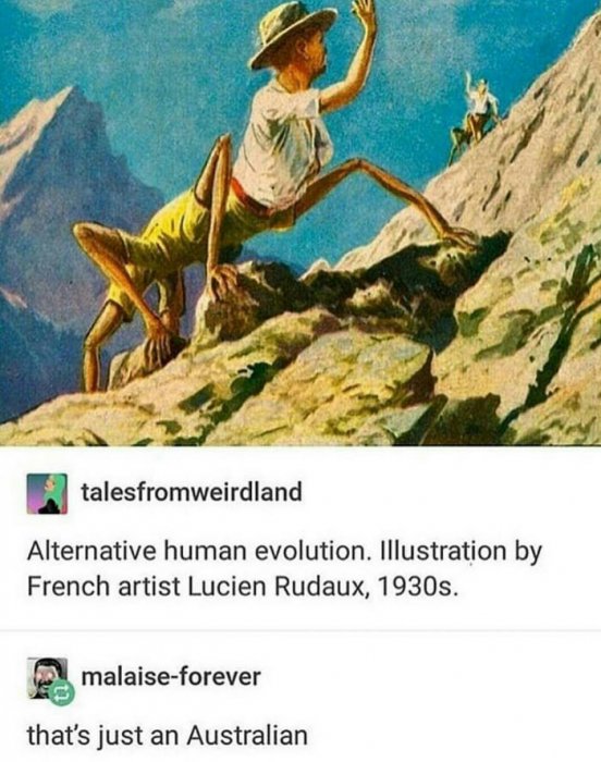 Забавные картинки