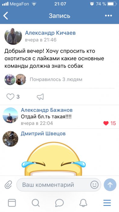 Забавные картинки