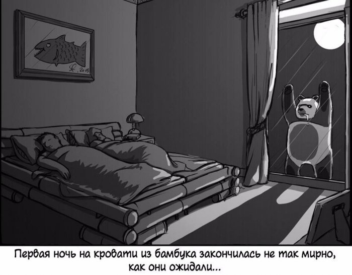 Забавные картинки