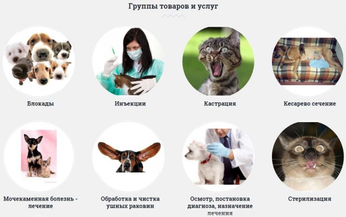 Забавные картинки