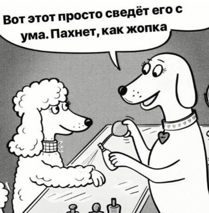 Забавные картинки