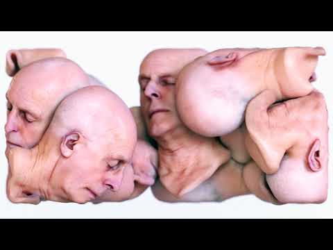 Parasitic Endeavours