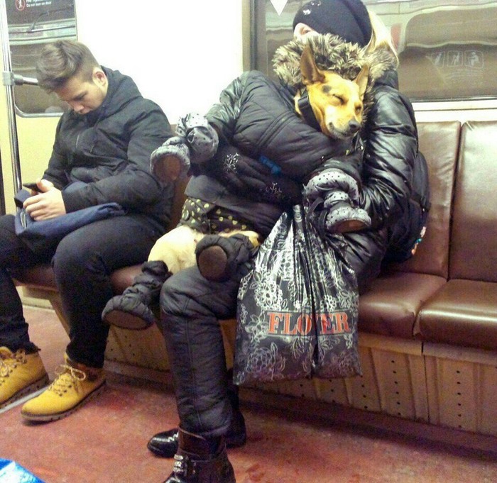 Забавные картинки