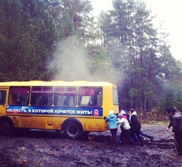 Забавные картинки