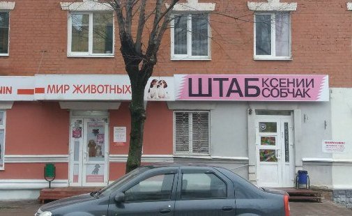 Забавные картинки