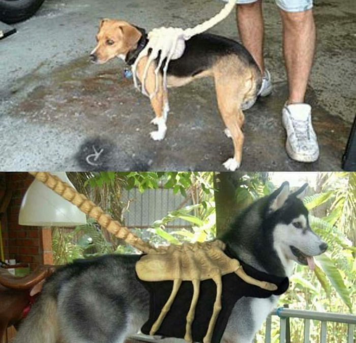 Забавные картинки