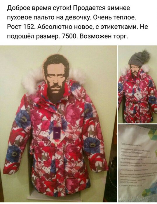 Забавные картинки