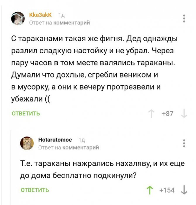 Забавные картинки