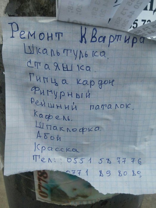 Забавные картинки