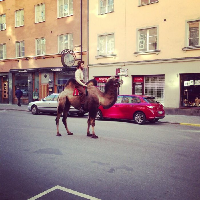 Забавные картинки