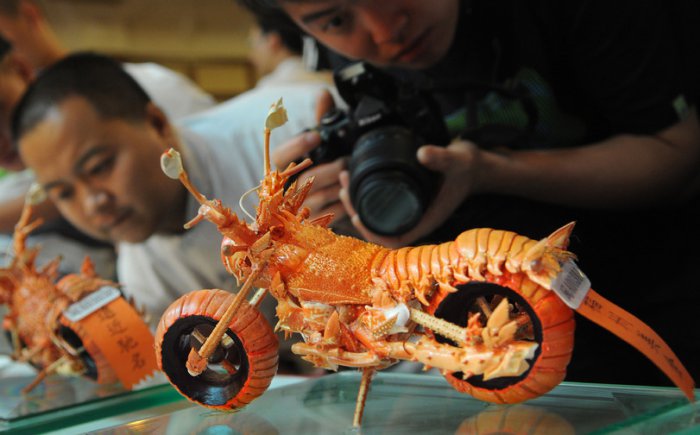 Забавные картинки