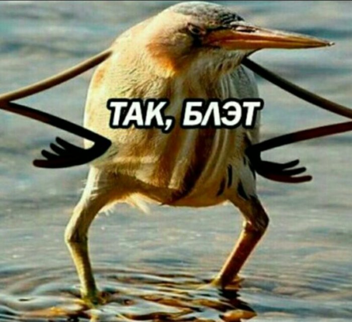 Самые популярные мемы уходящего 2017 года