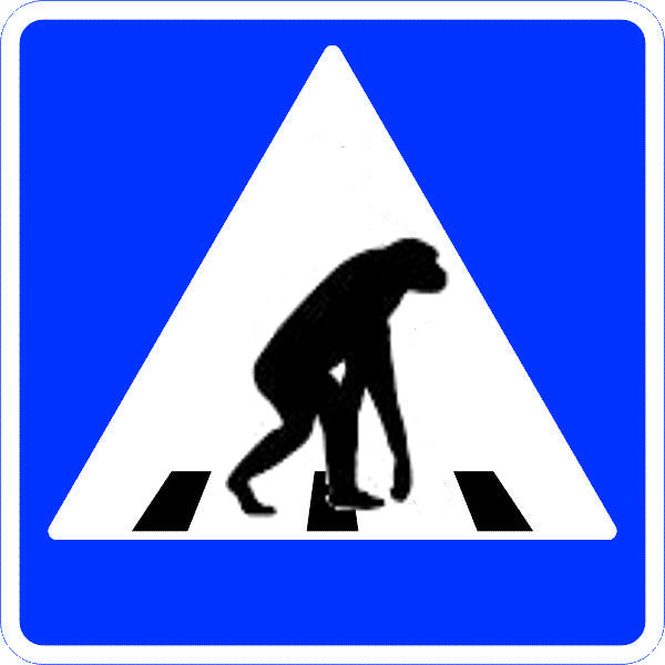 Я - пешеход Я - пешеход