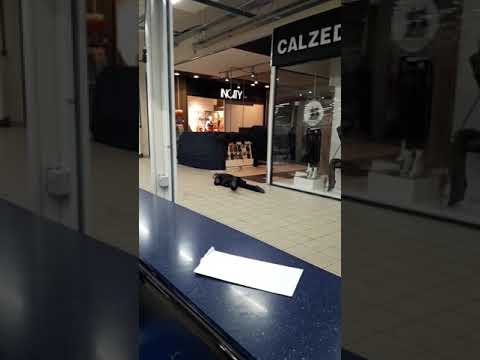 Ползающий сесурити