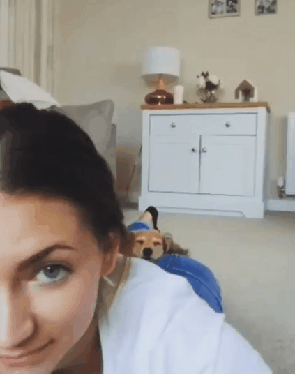 Забавные картинки