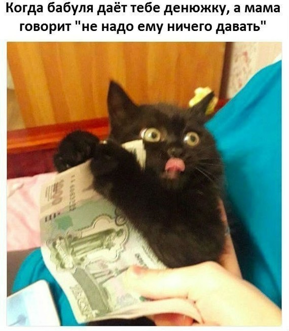 Забавные картинки