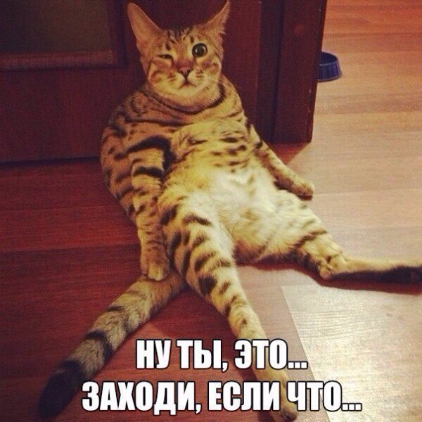 Забавные картинки