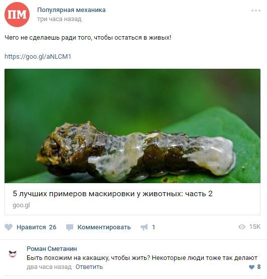 Забавные картинки