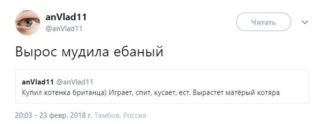 Забавные картинки