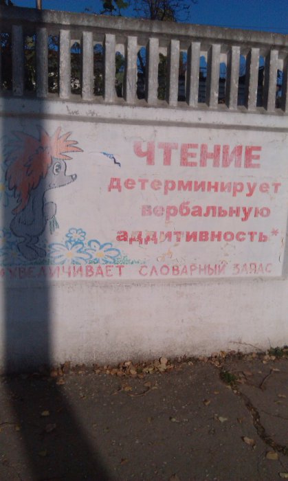 Забавные картинки