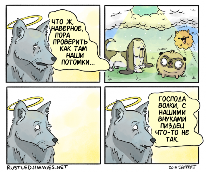 Забавные картинки