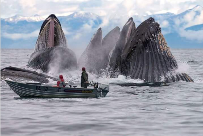 Забавные картинки