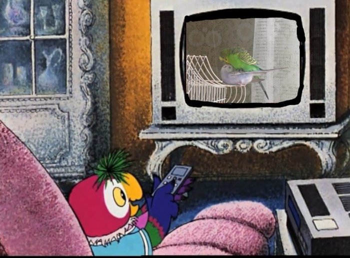 Забавные картинки