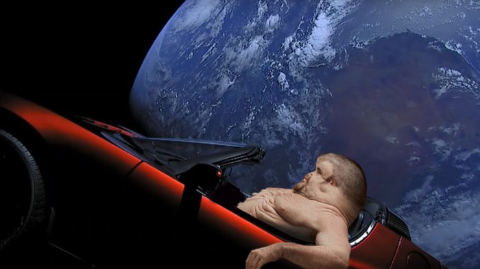 Забавные картинки