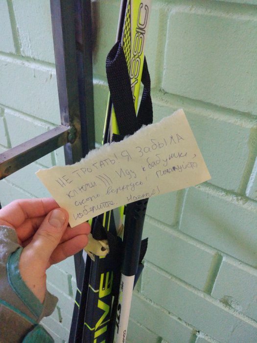 Забавные картинки