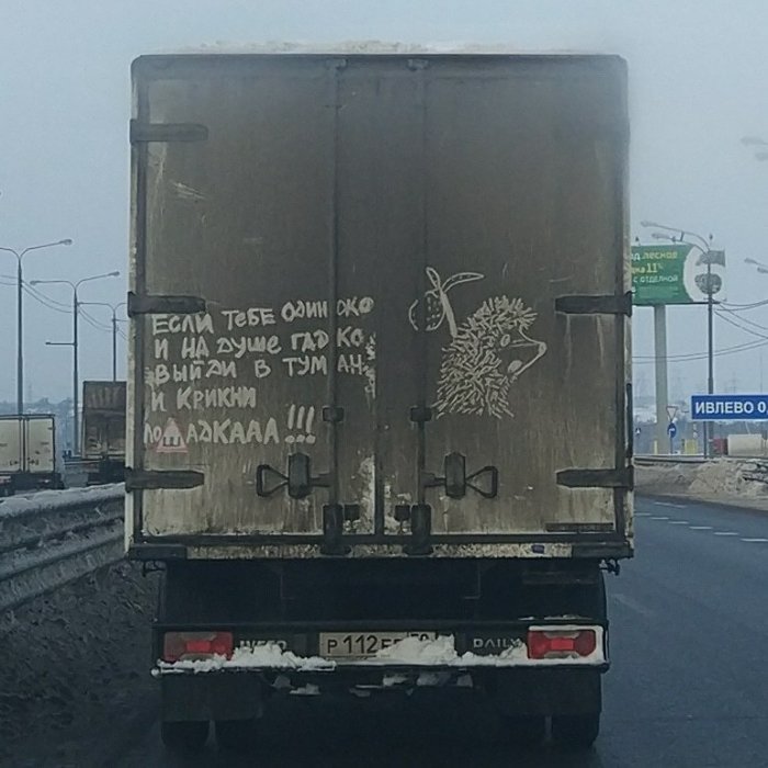 Забавные картинки