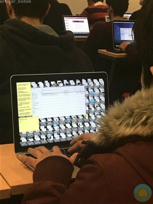 Забавные картинки