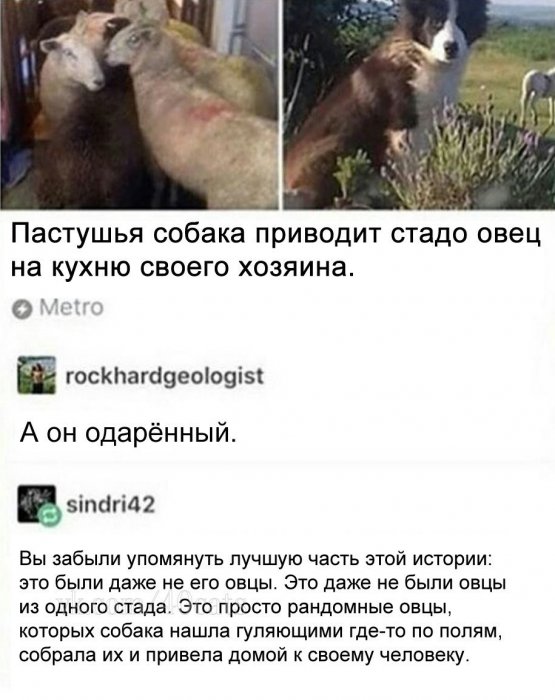 Забавные картинки