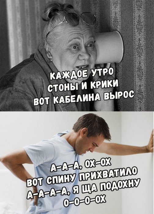 Забавные картинки