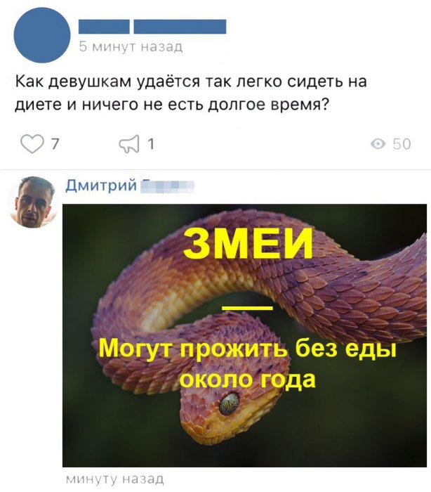 Забавные картинки