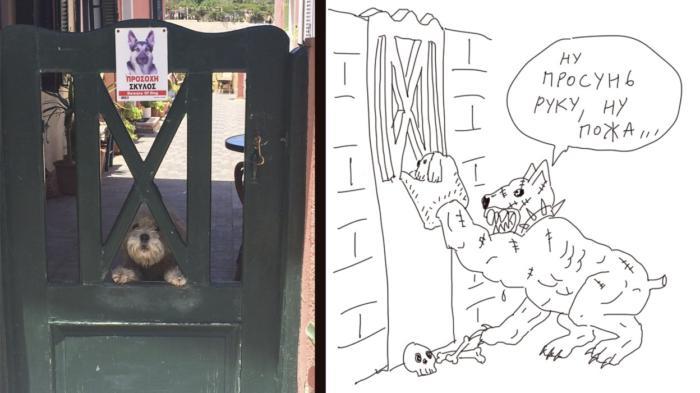 Забавные картинки