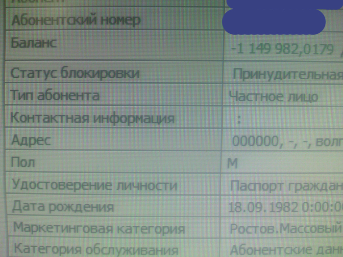 Забавные картинки