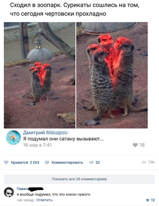 Забавные картинки