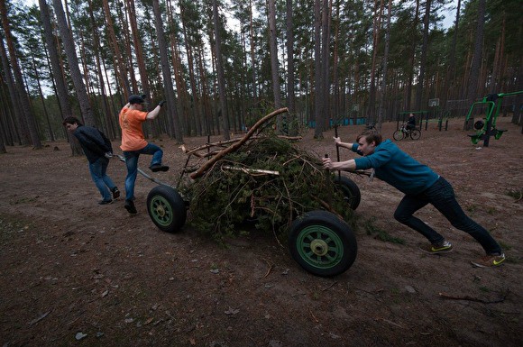 Госдума одобрила законопроект о свободном сборе валежника в лесу    